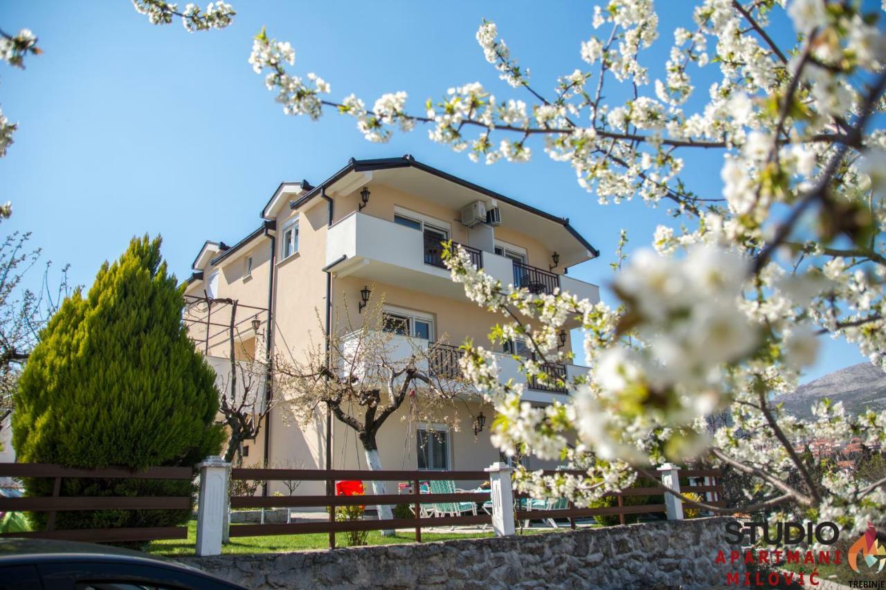 Studio Apartmani Milovic Trebinje Eksteriør billede